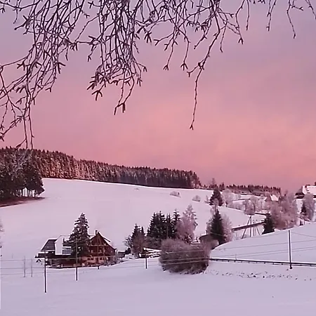 Konradenhaeusle Appartement Titisee-Neustadt